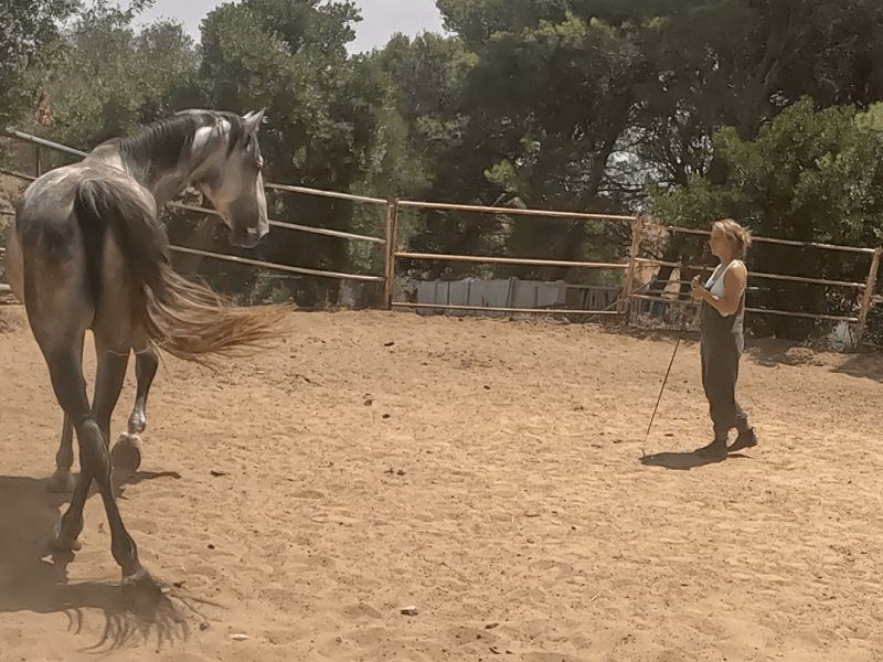 Connection & Communication